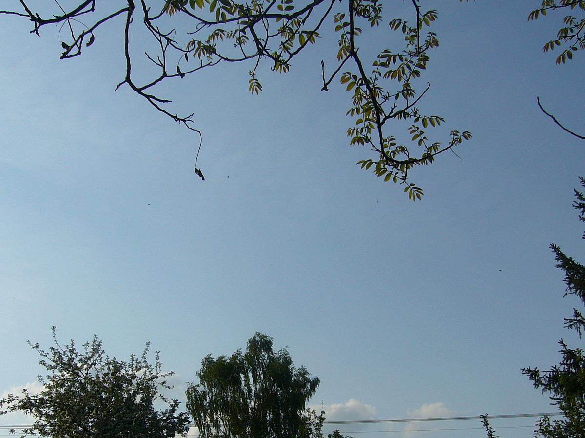 Krhová u Valašského Meziříčí